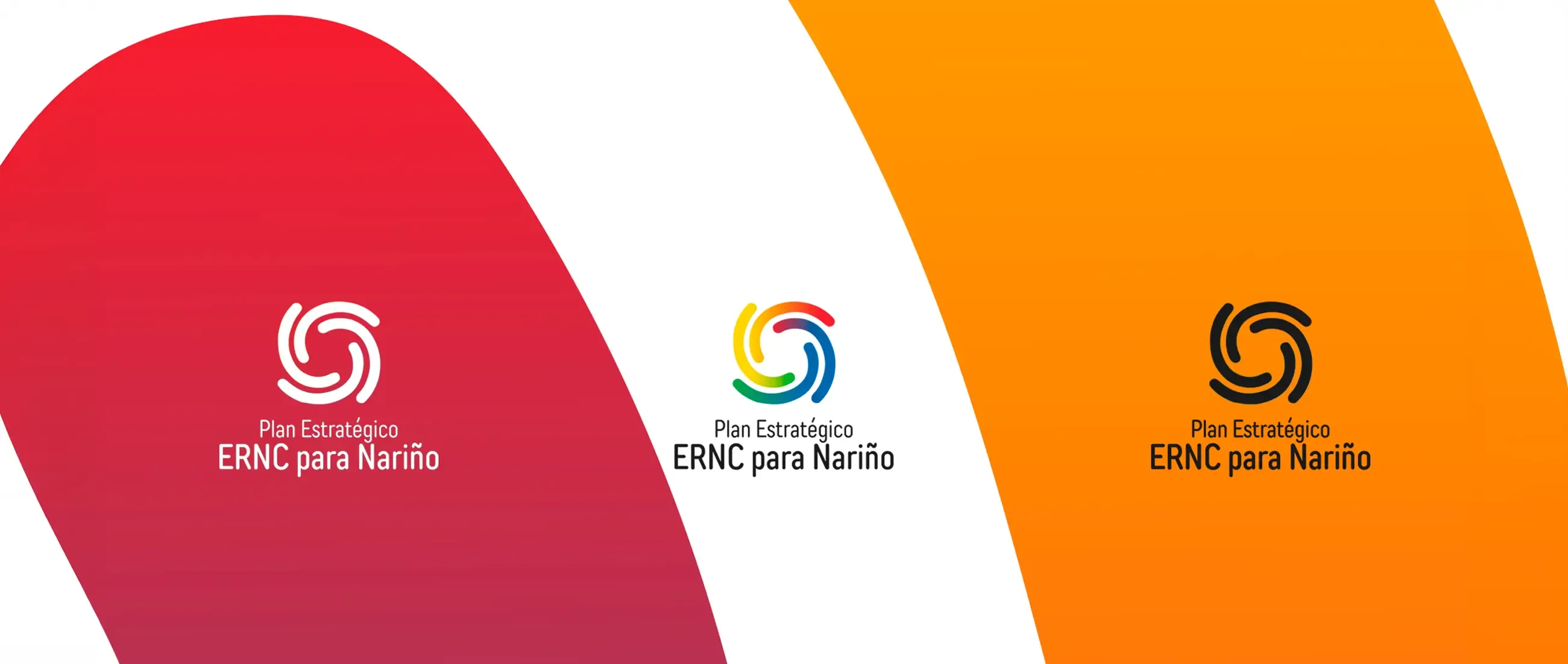 Iconografía del sistema ERNC