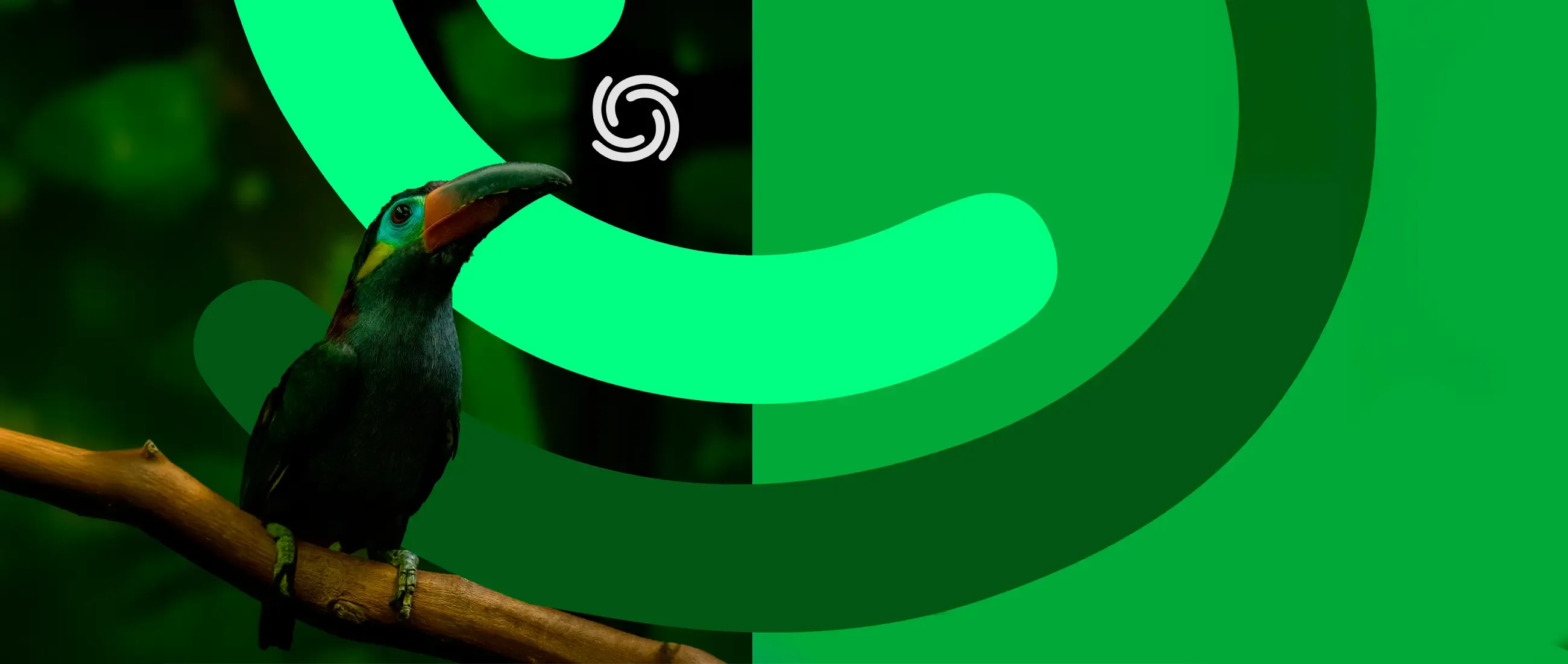Branding